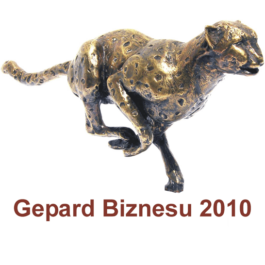 ikona Gepardy Biznesu 2010